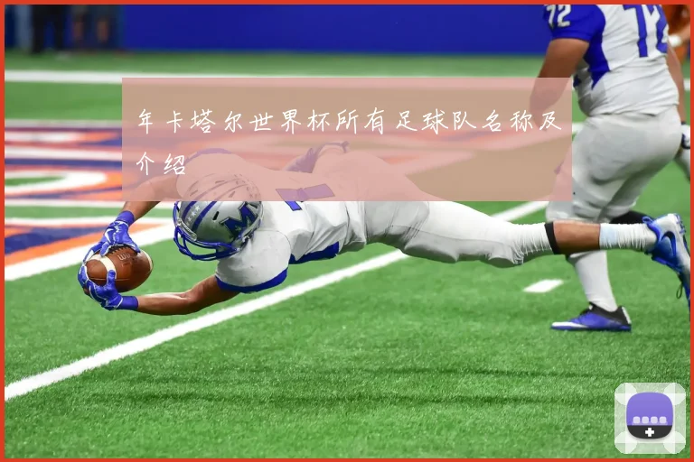 年卡塔尔世界杯所有足球队名称及介绍