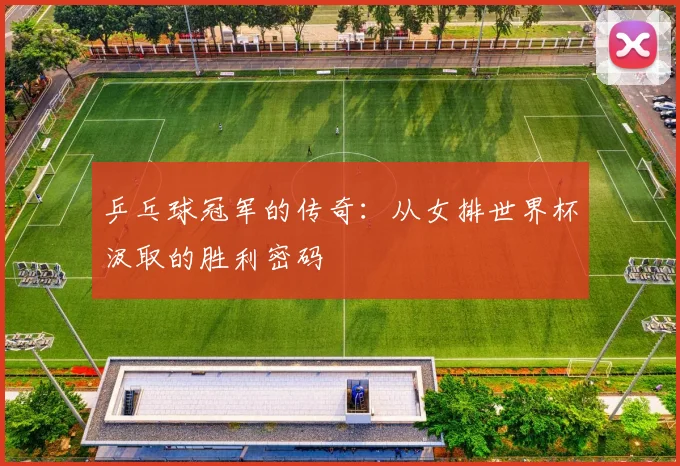 乒乓球冠军的传奇:从女排世界杯汲取的胜利密码