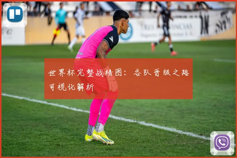 世界杯完整战绩图:各队晋级之路可视化解析